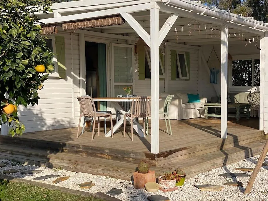 Soul Casas Villa Vejer de la Frontera Holiday home